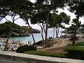 Platja D'or 1